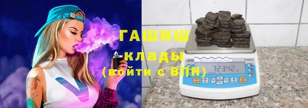 индика Вяземский